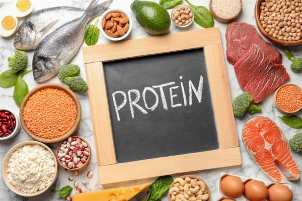 كمية البروتين التي يحتاجها الجسم