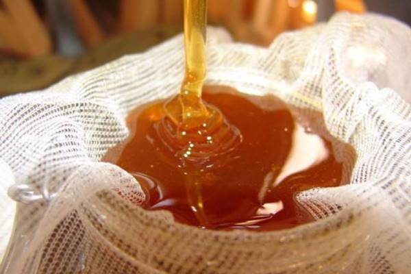 كيفية الكشف عن العسل الطبيعي؟ 