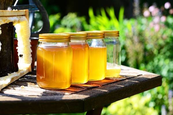 كيفية الكشف عن العسل الطبيعي؟